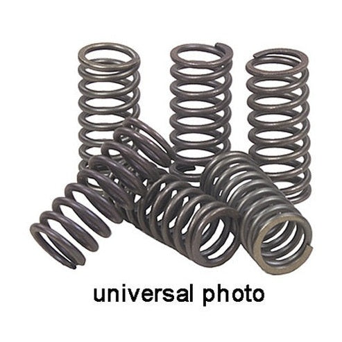 EBC CSK101 Heavy-Duty Clutch Spring Kit product image 1