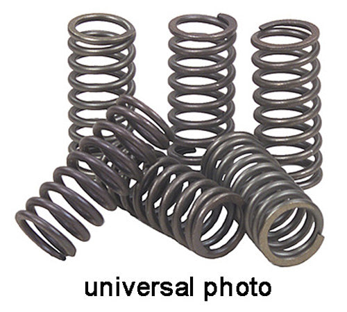 ebc-clutch-springs.jpg