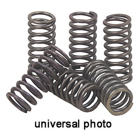 EBC CSK75 Heavy-Duty Clutch Spring Kit product image 1