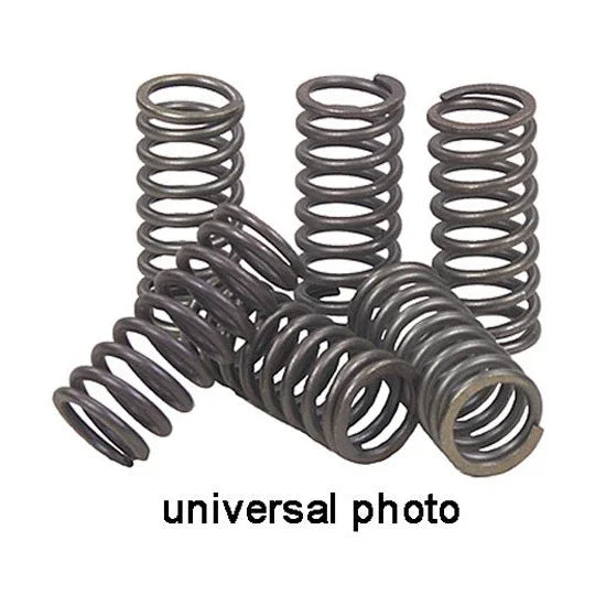 EBC CSK111 Kawasaki ZX1000 Ninja ZX-10R Heavy-Duty Clutch Spring Kit product image 1